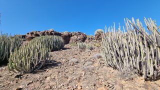 2024-02-GranCan-Playa Del Aguila-Trek-41.jpg